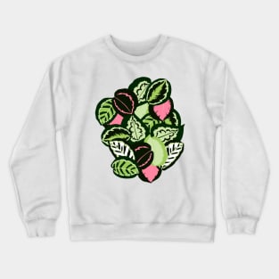 Calathea Crewneck Sweatshirt